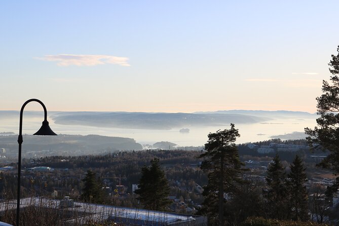 Oslo City Highlights with Fjord Cruise - What the Oslofjord cruise is really like