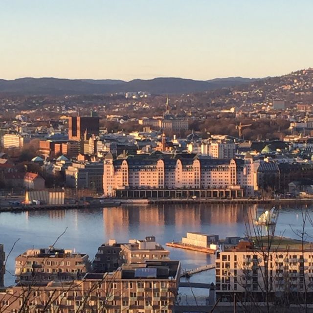 Oslo: City Walking Tour - Parliament, the National Theater, and the Royal Palace