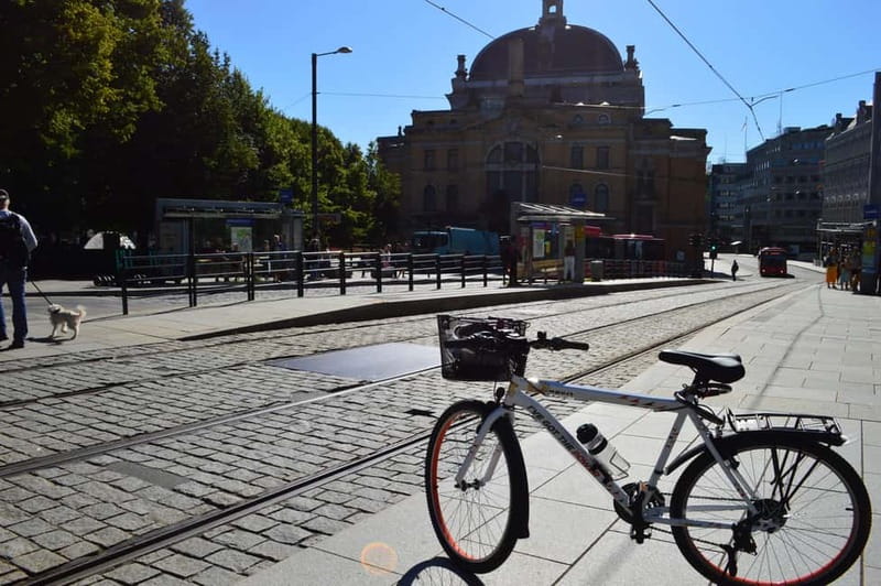 Oslo El-Bike Panorama Tour - Royal Palace and central Oslo