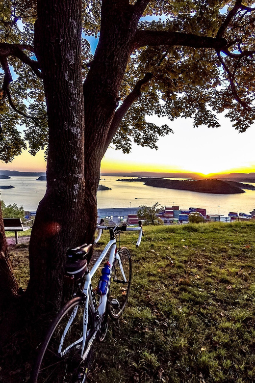 Oslo El-Bike Panorama Tour - Grünerløkka, street art, and less familiar corners