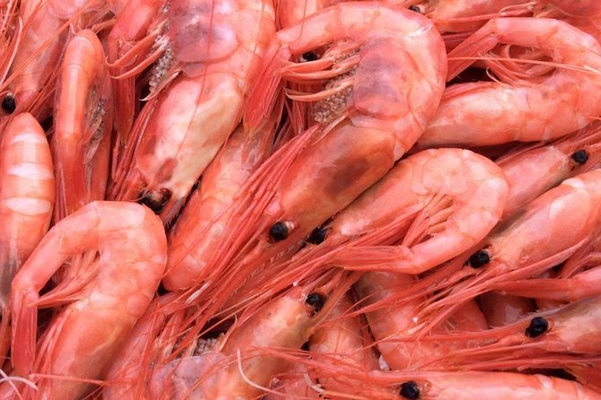 Oslo Fjord Evening Cruise with Shrimp Buffet on a Sailing Ship - How much value do you get for $90.25?