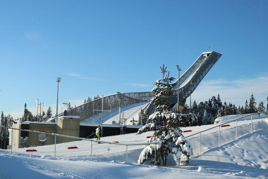 Oslo: Guided Oslo Highlights Tour by bus & Oslofjord cruise - Holmenkollen Ski Jump and the city below