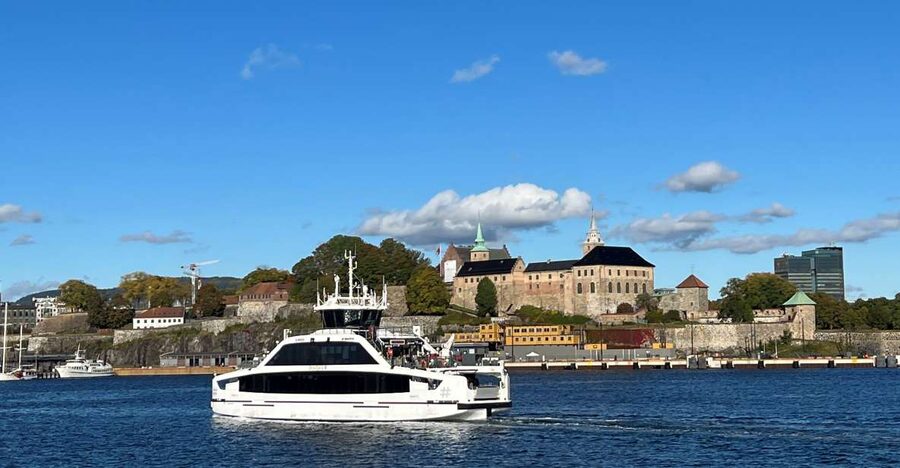 Oslo: Guided Oslo Highlights Tour by bus & Oslofjord cruise - One artist’s world at Vigeland Sculpture Park
