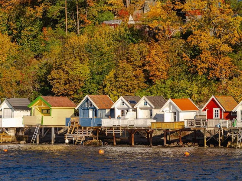 Oslo: Guided Sightseeing Fjord Cruise on Premium Silent Boat - Starting at Rådhusbrygge 2
