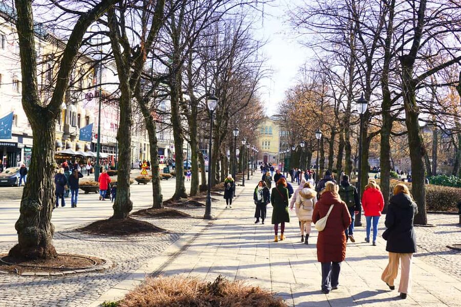 Oslo: History, Art and Secrets Tour - Is $41 good value for three to four hours?