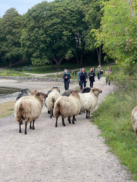 Oslo Island Walks: Island Hopping Tour - Key points to know before booking