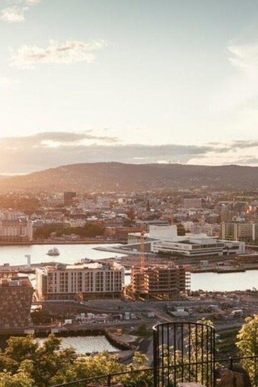 Oslo : Must-See Attractions Walking Tour With A Guide - Why this private Oslo tour works best as an introduction