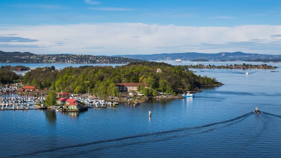Oslo Nature Walks: Island Hopping Tour - Hovedøya: abbey ruins, sheep pastures, and cannons