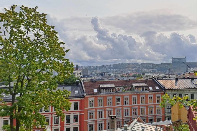 Oslo: Norwegian Food Tour & Hidden Gems City Walk - Youngstorget and the first bowl of fish soup