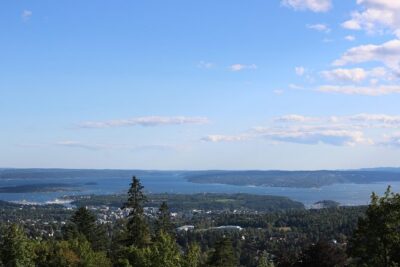 Oslo Panorama Tour with Holmenkollen Ski Jump and Vigeland Park