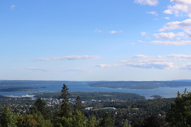 Oslo Panorama Tour with Holmenkollen Ski Jump and Vigeland Park - Holmenkollen Ski Jump and Oslo from above