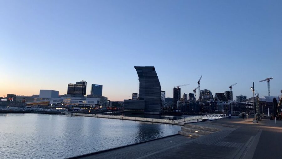 Oslo: Panoramic View and Sculpture Park Walk - What the private vehicle adds