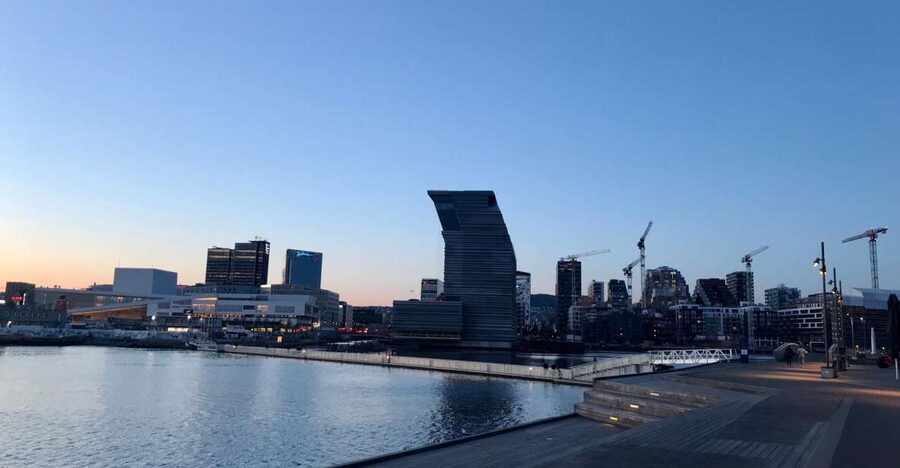 Oslo: Panoramic View and Sculpture Park Walk - Who should book it