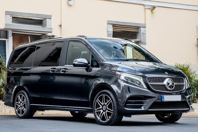 Oslo Private Transfer Between Gardermoen Airport and City - Vehicle quality and the service promise