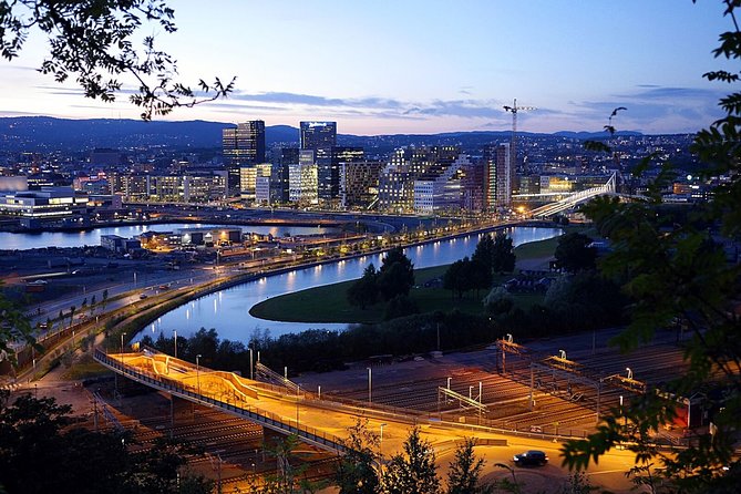 Oslo: Private VIP City Tour by Luxury Minivan with Driver & Guide - Weather, pace, and practical comfort