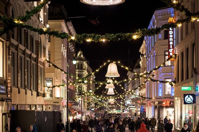 Oslo: Private VIP City Tour by Luxury Minivan with Driver & Guide - Who will get the most from this Oslo tour?