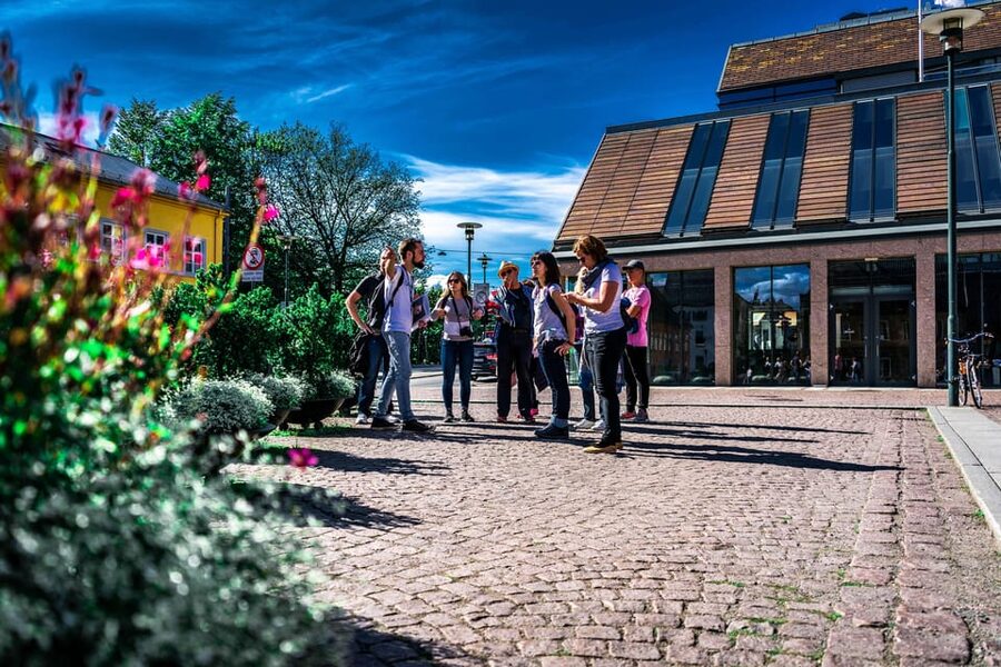 Oslo: Private Walking Tour - Key points to know before you book