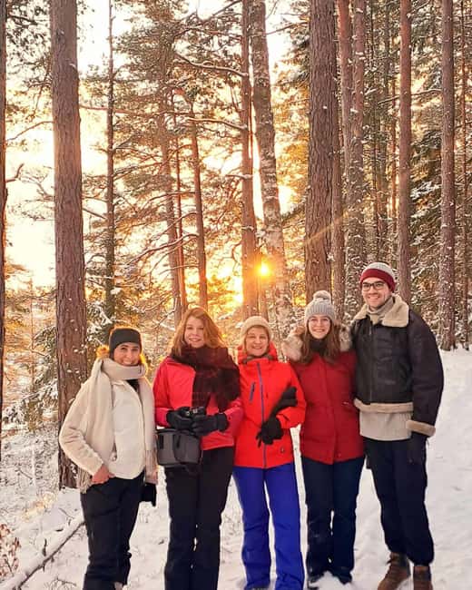 Oslo: Scenic Forest Hike with Dog & Local Guide - Why This Hike Works So Well as an Oslo Side Trip