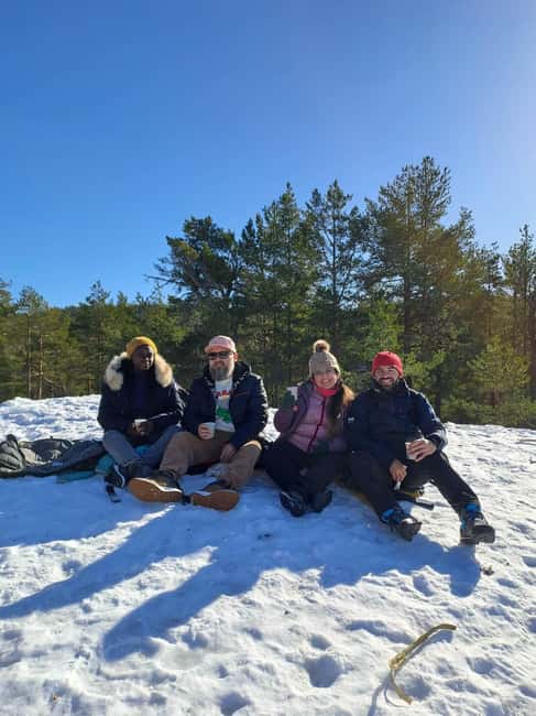 Oslo: Scenic Forest Hike with Dog & Local Guide - The Uphill Walk to the 153-Meter Viewpoint