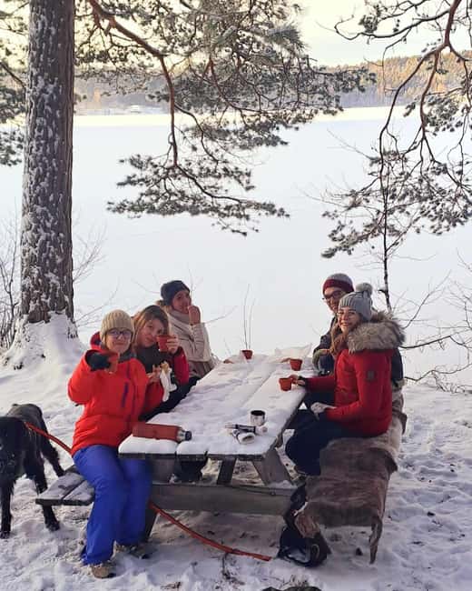 Oslo: Scenic Forest Hike with Dog & Local Guide - From Kolbotn Station to the First Forest Trails