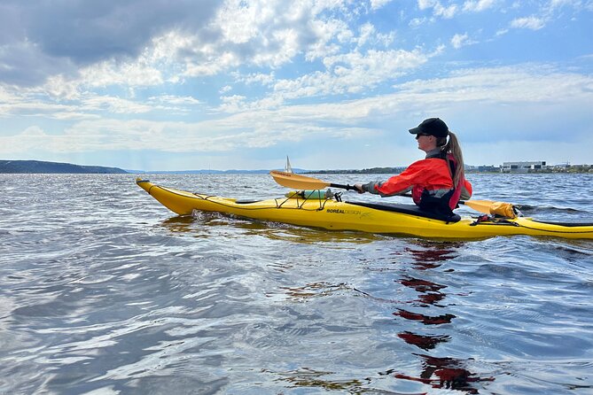 Oslo Sea Kayak Tour: Explore The Incredible Oslofjord - Astrup Fearnley Museum and Tjuvholmen Bystrand