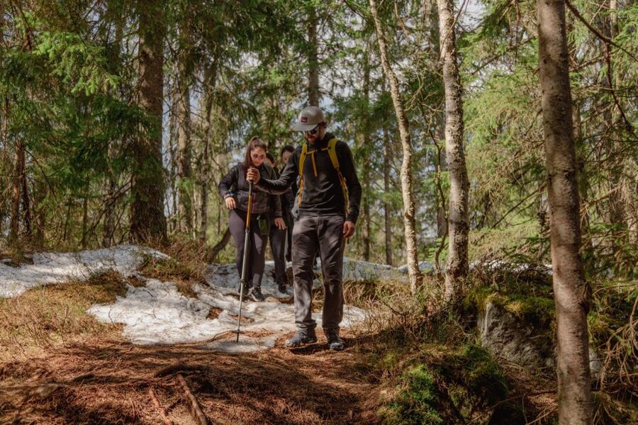 Oslo: Skjennungstoppen Wildlife Forest Hiking Tour - From Backstube Opera to Frognerseteren