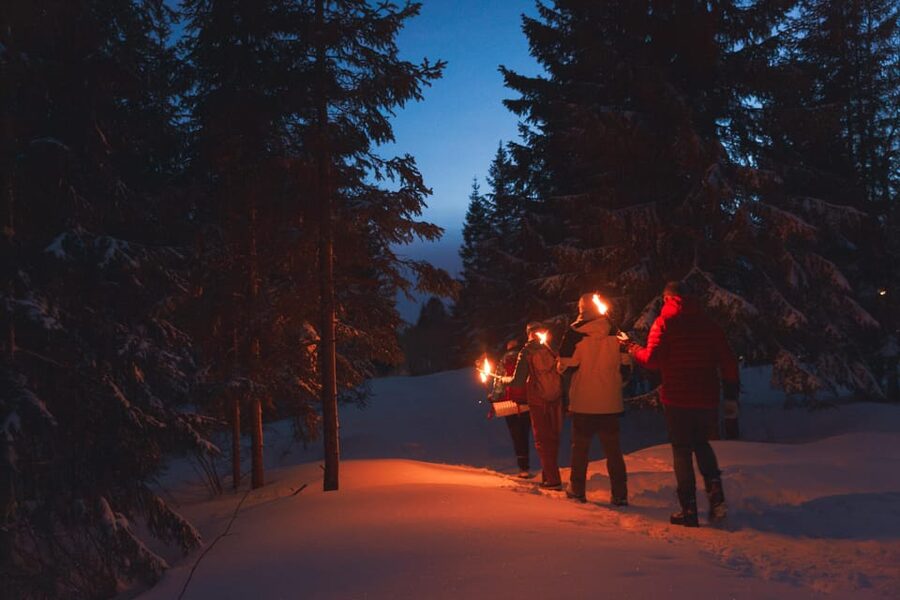 Oslo: Snowy Forest Torchlight Walk with Campfire - Øvresetertjern Lake and the Norwegian campfire