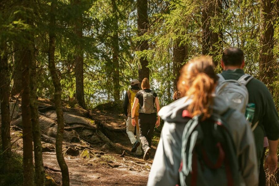 Oslo: The Spectacular Holmenkollen Walk - Why Holmenkollen makes a good Oslo side trip