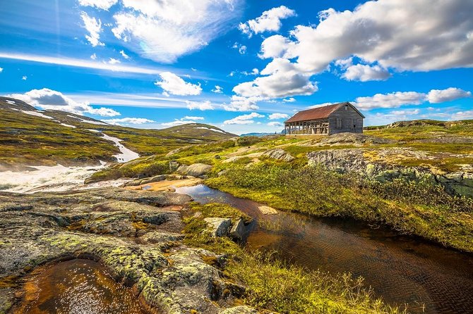 Oslo To Sognefjord Private Full Day Roundtrip Including Flam Railway - Price, private service, and what you receive