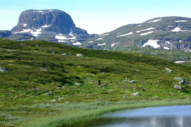 Oslo To Sognefjord Private Full Day Roundtrip Including Flam Railway - Who should book this private fjord day