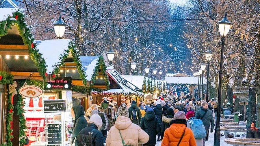 Oslo: Tour with a Michelin star chef - Beginning beneath the Royal Palace