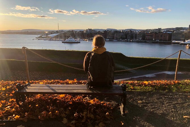 Oslo Unveiled: Private Walking Tour - A private introduction to Oslo’s central story