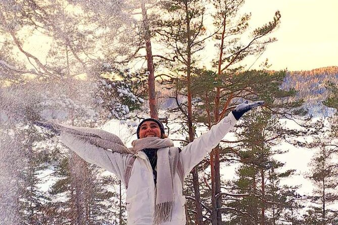 Oslo: Winter wonderland forest hike & campfire with a dog - Climbing Ingieråsen for wide Oslo views
