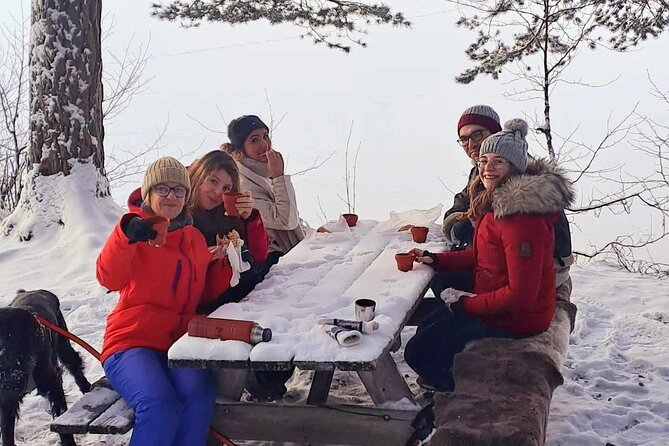 Oslo: Winter wonderland forest hike & campfire with a dog - The final 45 minutes to Solbråtan Station