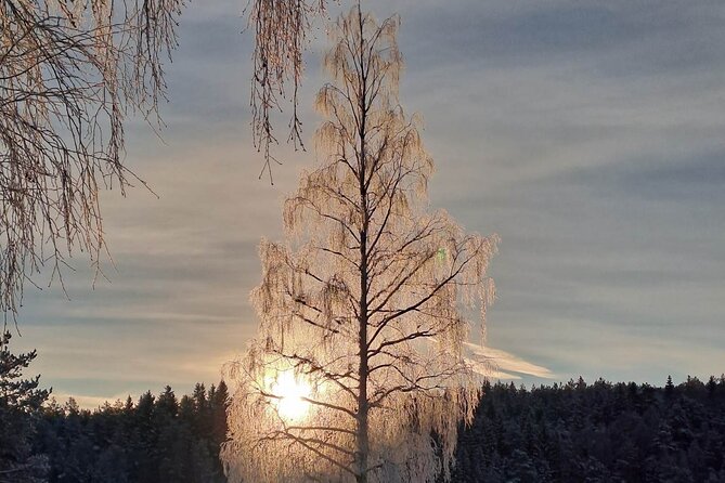 Oslo: Winter wonderland forest hike & campfire with a dog - Who should book this Oslo forest hike?