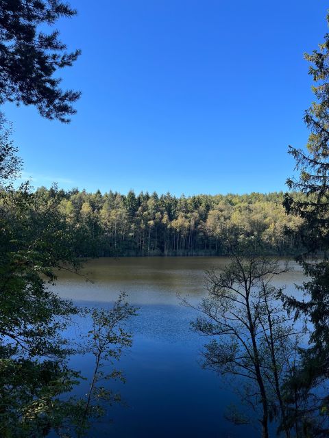 Oslo: Yoga & Hiking with a dog - The hike begins after yoga