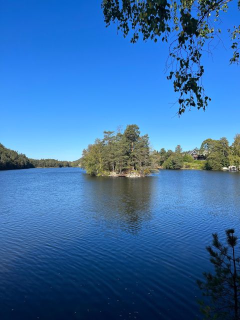 Oslo: Yoga & Hiking with a dog - Why the nature setting matters