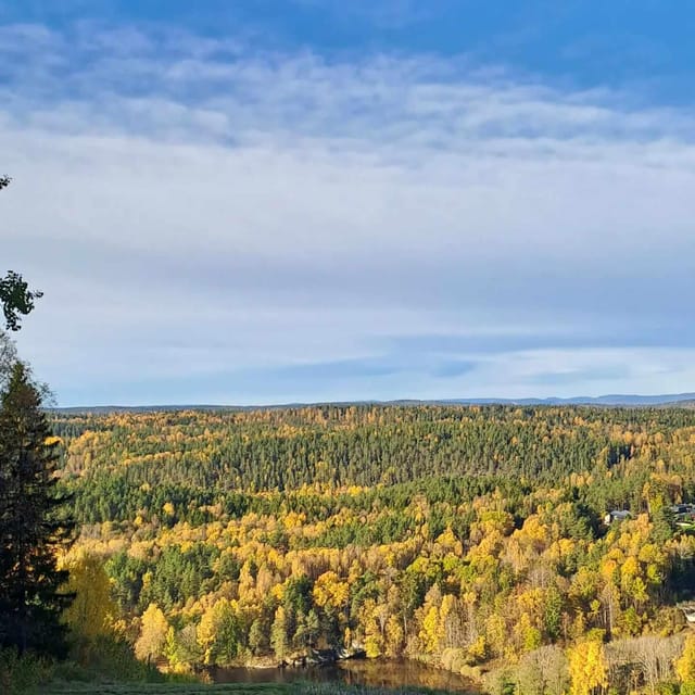 Oslo: Yoga & Hiking with a dog - A 75-minute Vinyasa session on the lake
