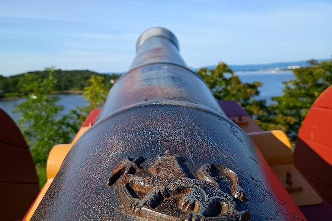 Oslofjord Island Hopping Tour - My call: book it for the guide, not just the ferry