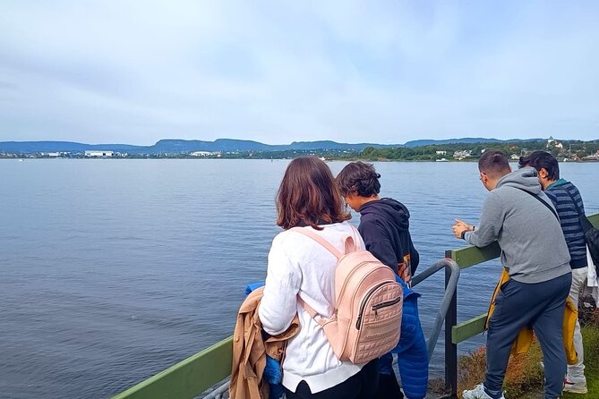 Oslofjord Island Hopping Tour - Nakholmen: a look at Oslo’s cabin life