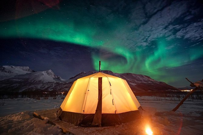 Overnight Stay with Reindeer Sledding & Feeding - Key points to know before booking