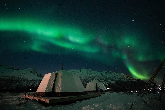 Overnight Stay with Reindeer Sledding & Feeding - Sami stories, lasso lessons, and a traditional stew