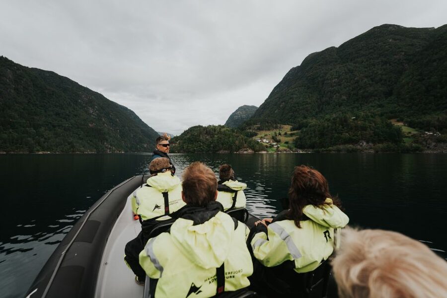 Øystese: Hardangerfjord RIB safari to the Fyksesund branch - Value, Flexibility, and Planning