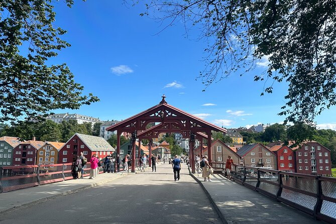 Panorama Bus Tour with Audio Guide - What the $59.80 price buys you