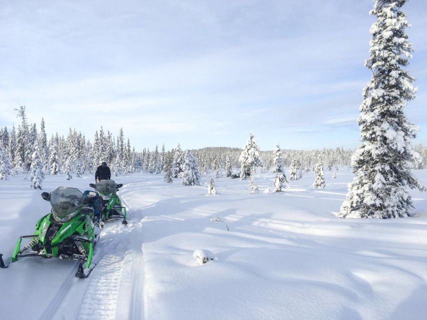 Polar Nature Tour on Snowmobile - Key points before you book