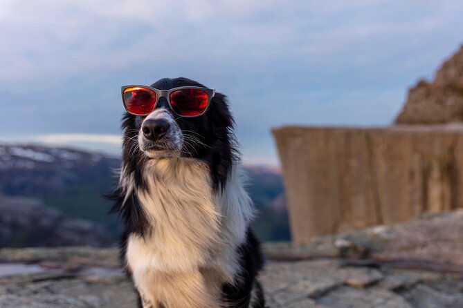 Preikestolen Sunrise Hike And Breakfast Buffet - Is $128.88 a fair price?