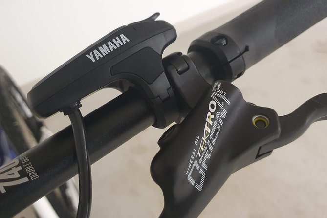 Premium eBike rental - Why this is more than a city bicycle rental