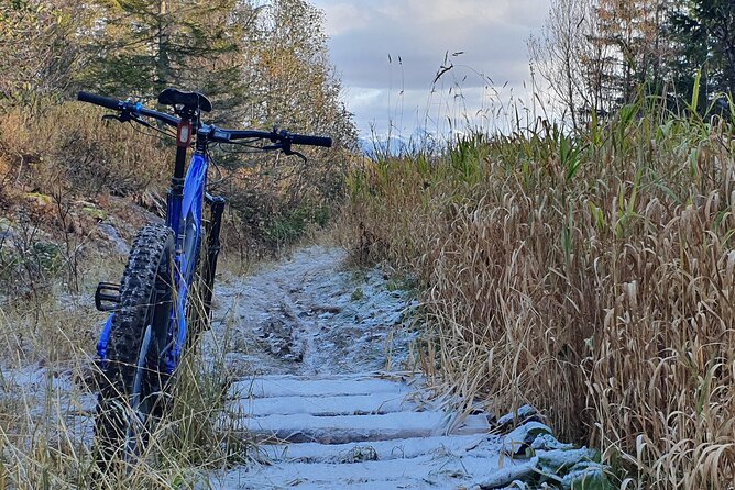 Premium eBike rental - Bodømarka, Soløyvatnet, and the forest trails