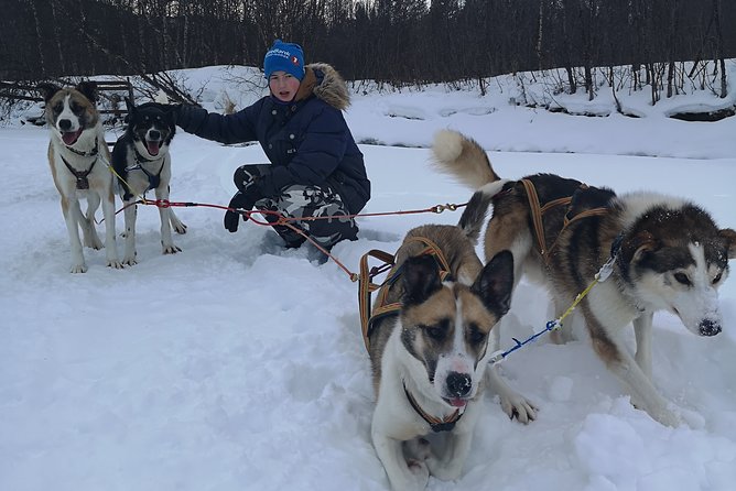Privat sled trip with husky in the alta valley - Learning the sled before the dogs pull