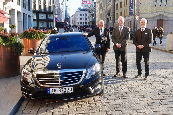 Private 5-hrs Oslo Exclusive Driverguide Luxury Limo/Van-Tour incl Museums - Ekeberg’s view across Oslo
